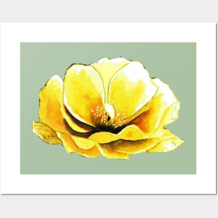 YELLOW PRICKLY PEAR CACTUS FLOWER Posters and Art